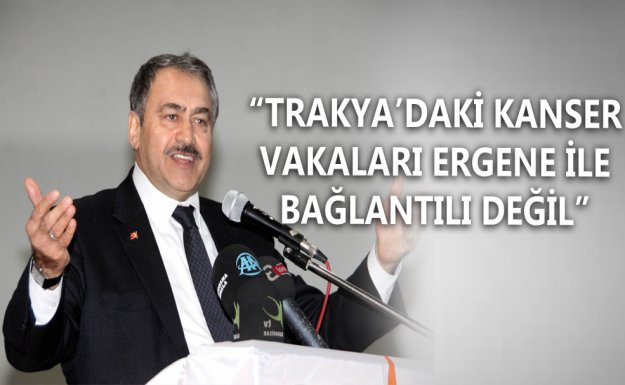 Bakan Eroğlu: Kanser Vakaları Ergene ile Bağlantılı Değil
