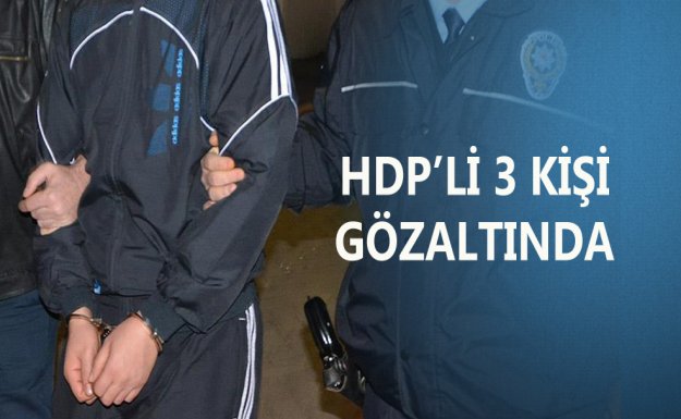 Van'da 3 HDP'li Gözaltına Alındı