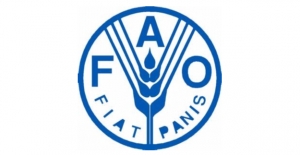 FAO Atık Suların Tarımda Kullanılması Peşinde