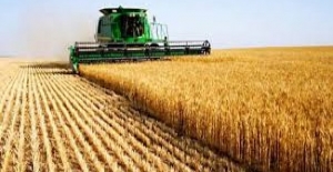 Tarım-ÜFE Mart'ta Yüzde 0,98 Azaldı