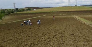 Çiftçiler Yarın Ankara’da Buluşuyor