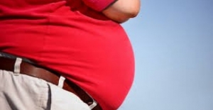 Obez Bireylerin Oranı 2016 Yılında Yüzde 19,6 Oldu