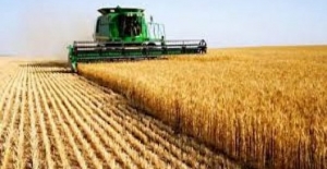Tarım- ÜFE Mayısta Yüzde 3,79 Arttı,