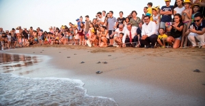 Yavru Kaplumbağalar Akdeniz’den Sahile Bırakıldı