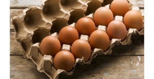 Tüketici Hakları Derneği: Zehirli Yumurta Yemek İstemiyoruz