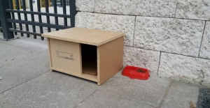 CHP’li Altıok Kedi Evleri Yaptırdı