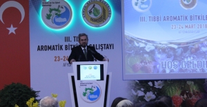 Ünüvar: “Türkiye, Tıbbi Ve Aromatik Bitkiler Konusunda Potansiyelini Harekete Geçirmeli”