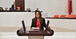 CHP'li Hürriyet, İzmit’teki "Sinek Salgınını" Meclise Taşıdı