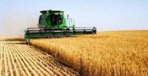 Tarım ÜFE Eylül’de Yüzde 3,68 Arttı