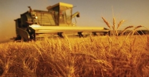 Tarım- ÜFE Ocak Ayında Yüzde 8,29 Arttı