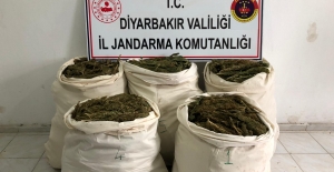 Diyarbakır'ın Lice İlçesinde 85,052 Kg Esrar Maddesi Ele Geçirildi