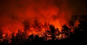 CHP’li Sertel’den İzmir Orman Yangınıyla İlgili Çarpıcı Açıklamalar