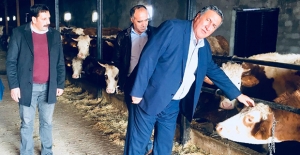 CHP’li Gürer: “Stokta Et Var Ama Et Fiyatları Durulmuyor”