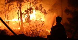 Öz Orman-İş Genel Başkanı Aslan Orman Yangınları İçin Uyardı: “Kış Yangınları Düşündürmeli”