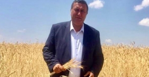 Gürer: “Buğdayda Taban Fiyat, Girdi Fiyatlarının Artışına Göre Düşük Kaldı”