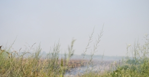 CHP’li Barut'tan Anız Yangınına Çözüm Çağrısı: "Üreticiye Destek Verin, Bu Yangın Sönsün"