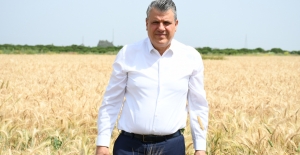 CHP’li Barut'tan Buğday Ve Arpa İthalatı Kararına Sert Tepki: "Çiftçinin Kara Gün Dostu Olması Gereken TMO, Düşmanlık Yapıyor"