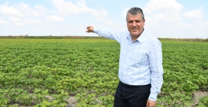 CHP’li Barut'tan Tarımsal Destekleme Ödemeleri İçin Yasa Teklifi