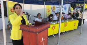 CHP'li Şevkin: “Eğitimde Fırsat Eşitliği Ortadan Kalktı!”