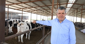 CHP’li Barut: "Süt Fiyatları Revize Edilsin"