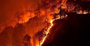 Boğaziçi'nden Araştırma: Toprağın Nemini Ölçen Teknoloji İle Orman Yangınları Önlenecek