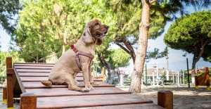 Kuşadası Belediyesi Kahraman Köpek Bob’un İsmini Parka Verdi