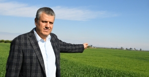 Ayhan Barut'tan Buğday İthalatına Sert Tepki: "İş Bilmezlerin İthalat Sevdası Artarak Sürüyor"