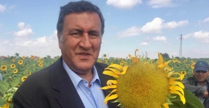 Gürer: “AKP’nin İthalat Sevdası, Vatandaşın Gıdaya Erişimini Sorunlu Kıldı”