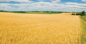 Tarım-ÜFE, Aylık Yüzde 2,58, Yıllık 21,24 Arttı