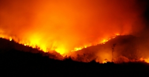 İstanbul'un Beykoz İlçesinde Orman Yangını