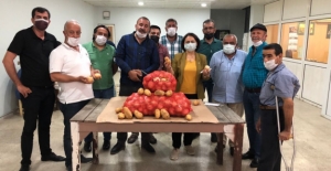 CHP'li Şevkin: 2021, Soğan Ve Patates Üreticisi İçin 'Kâbus' Oldu
