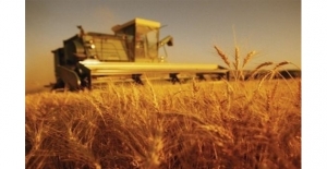 Devlet Destekli Tarım Sigortalarında Toplam Sigorta Bedeli Yüzde 50,7 Arttı