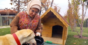 Emine Erdoğan: “Hayvanlar, Candır, Emanetimizdir”