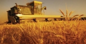 Tarım-ÜFE  Ağustos'ta Yüzde 1,77 Arttı
