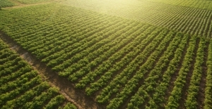 Tarımsal Girdi Fiyat Endeksi (Tarım-GFE) 2022 Şubat'ta Yüzde 16,69 Arttı