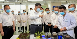 Xi: “Sadece Kendi Tohumumuza Sahip Olarak Gıda Güvenliğini Sağlayabiliriz”