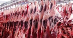 Kırmızı Et Üretimi 2021 Yılında Yüzde 9,3 Arttı