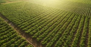 Tarım-ÜFE Mayıs'ta Yüzde 2,14 Arttı