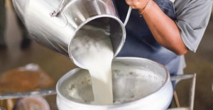 CHP’li Tahtasız: “Maliyetler Yüzde 60 Arttı, Çiğ Süt Fiyatı Yerinde Sayıyor”