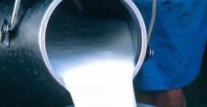 Çiğ Süt Üretimi 2022 Yılında Yüzde 7,1 Azaldı