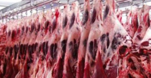 Kırmızı Et Üretimi 2023 Yılında Yüzde 8,8 Arttı