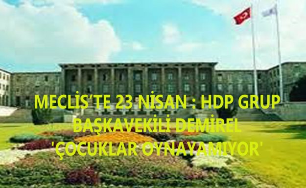 Meclis'te 23 Nisan : HDP Grup Başkanvekili Demirel 