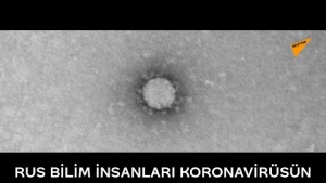 Rus bilim insanları koronavirüsün ilk mikroskop görüntülerini çekti